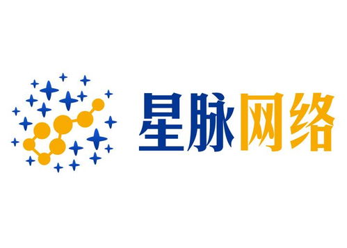 任丘市星脉网络科技