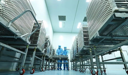 科技赋能植物工厂，张掖农特产品提质增效