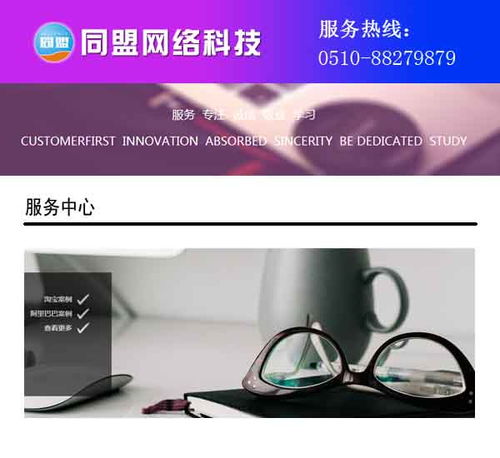 无锡阿里巴巴推广服务及报价解析——同盟网络科技