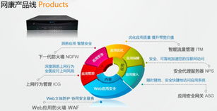 智慧网络 立体安全 2013网康科技全国巡展掀起行业热潮