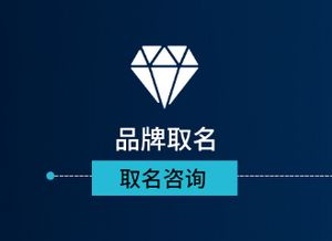 网络科技与电子商务 变革时代的双引擎